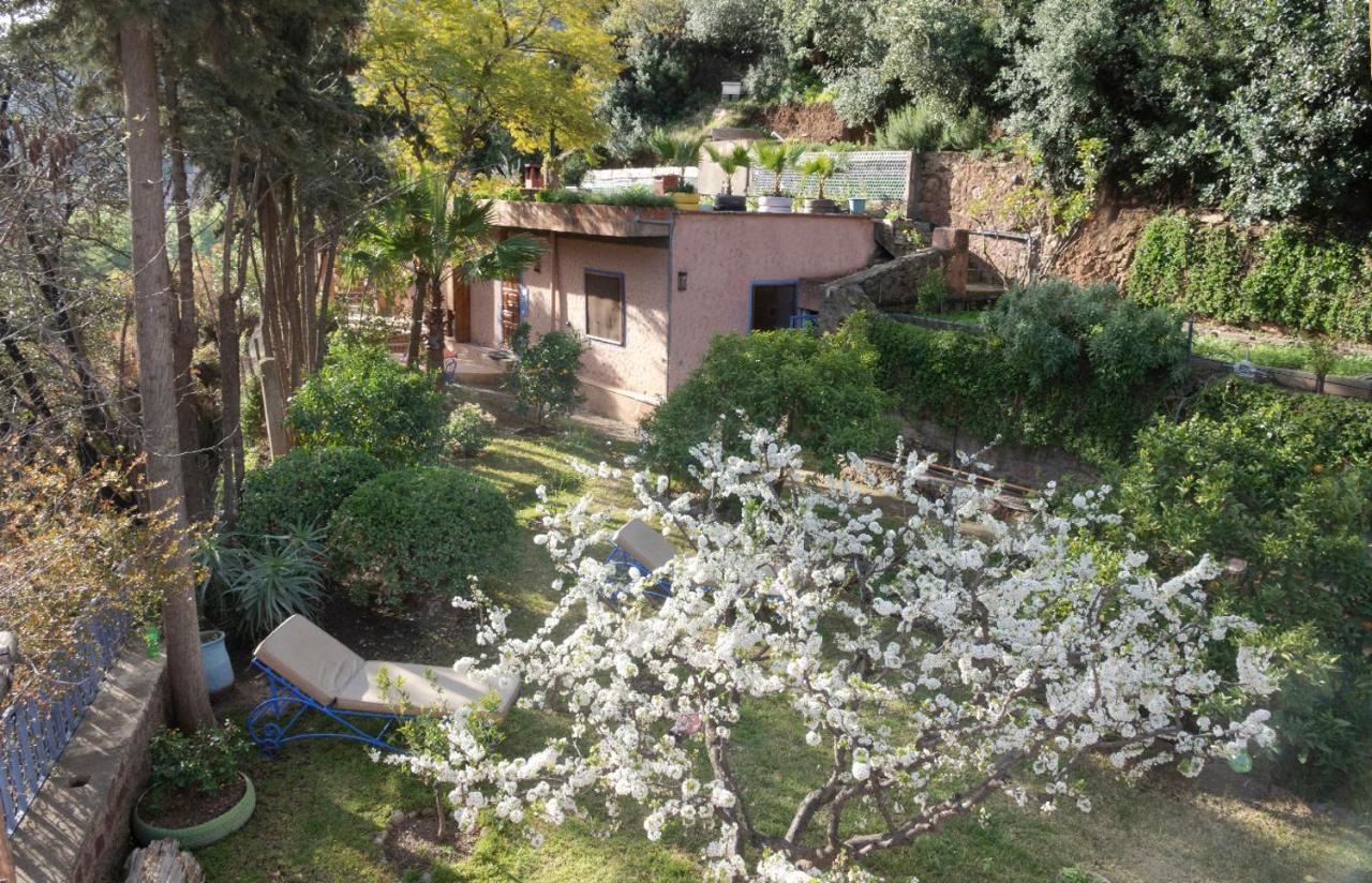 Auberge Le Maquis Aghbalou Εξωτερικό φωτογραφία